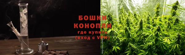 индика Каменка