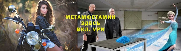 индика Каменка