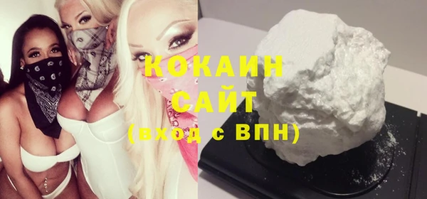 прущие грибы Карпинск