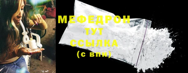 индика Каменка