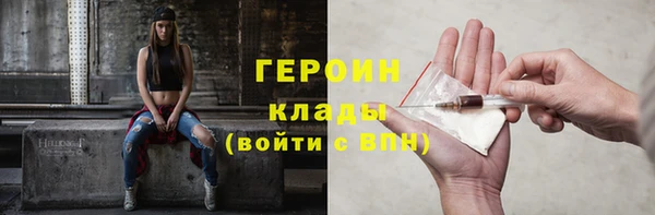 прущие грибы Карпинск