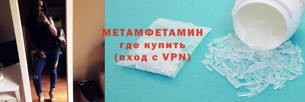 индика Каменка