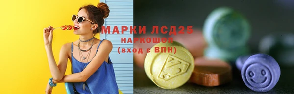 прущие грибы Карпинск