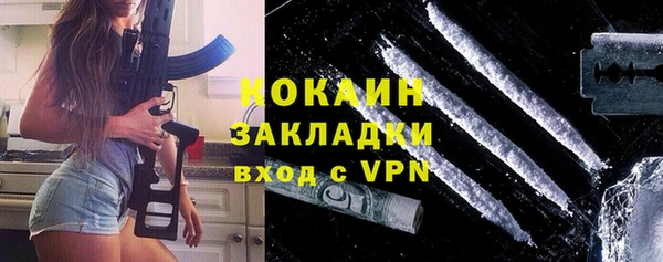 индика Каменка
