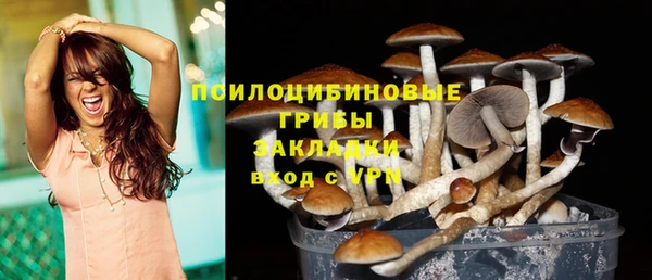 прущие грибы Карпинск