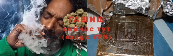 индика Каменка