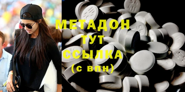 индика Каменка