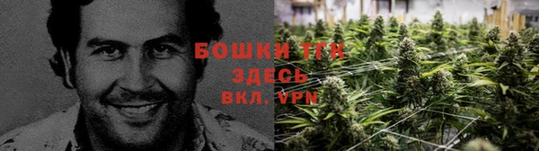 индика Каменка