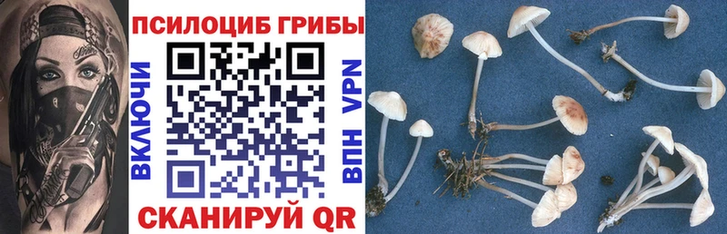 Купить где  Великий Устюг  Галлюциногенные грибы мухоморы 