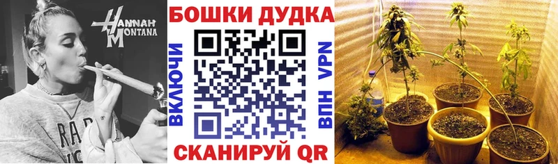Бошки Шишки LSD WEED Великий Устюг